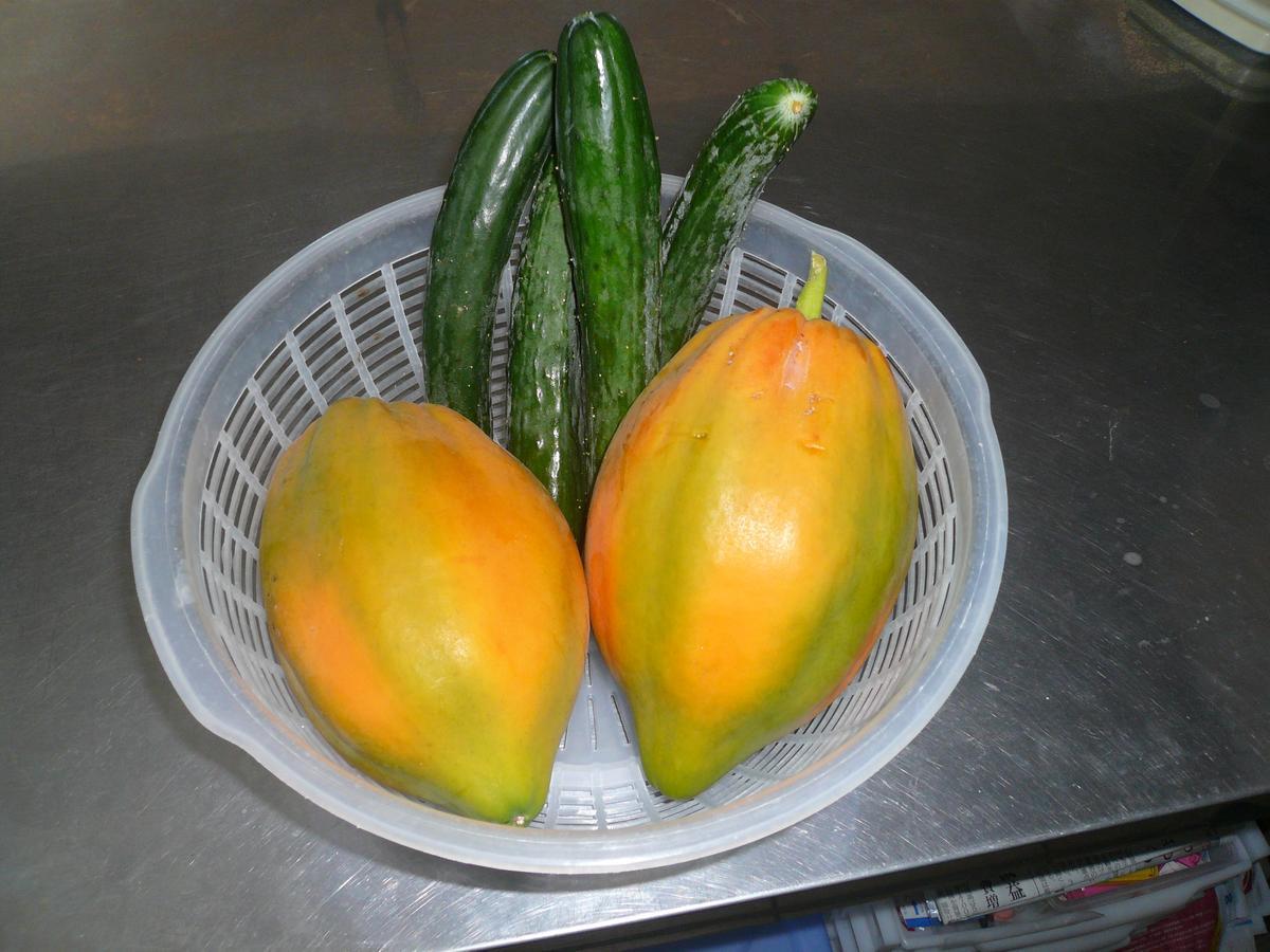 本部山丘别墅 外观 照片